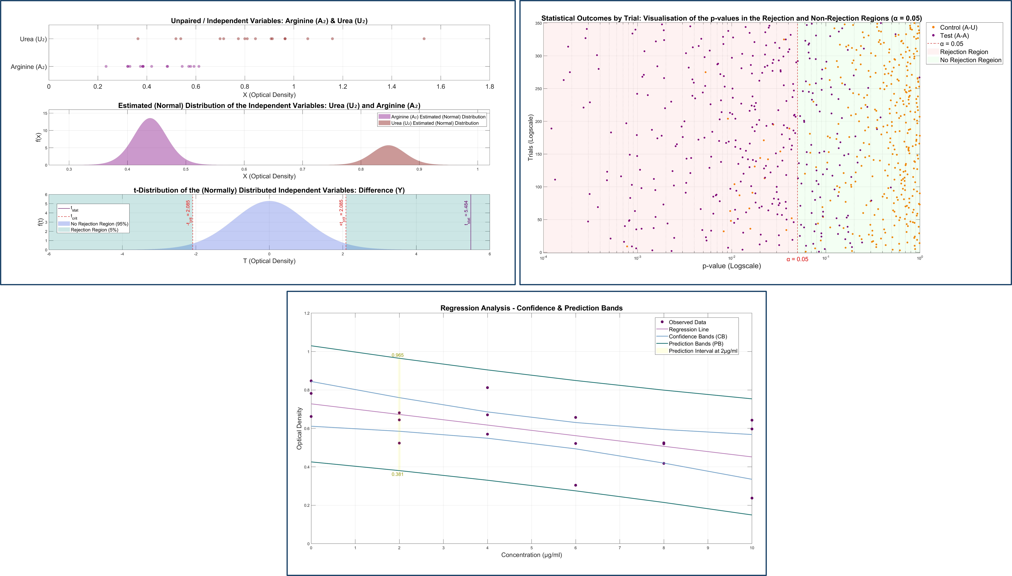 Statistical Analysis of Bacterial Growth Dynamics Image