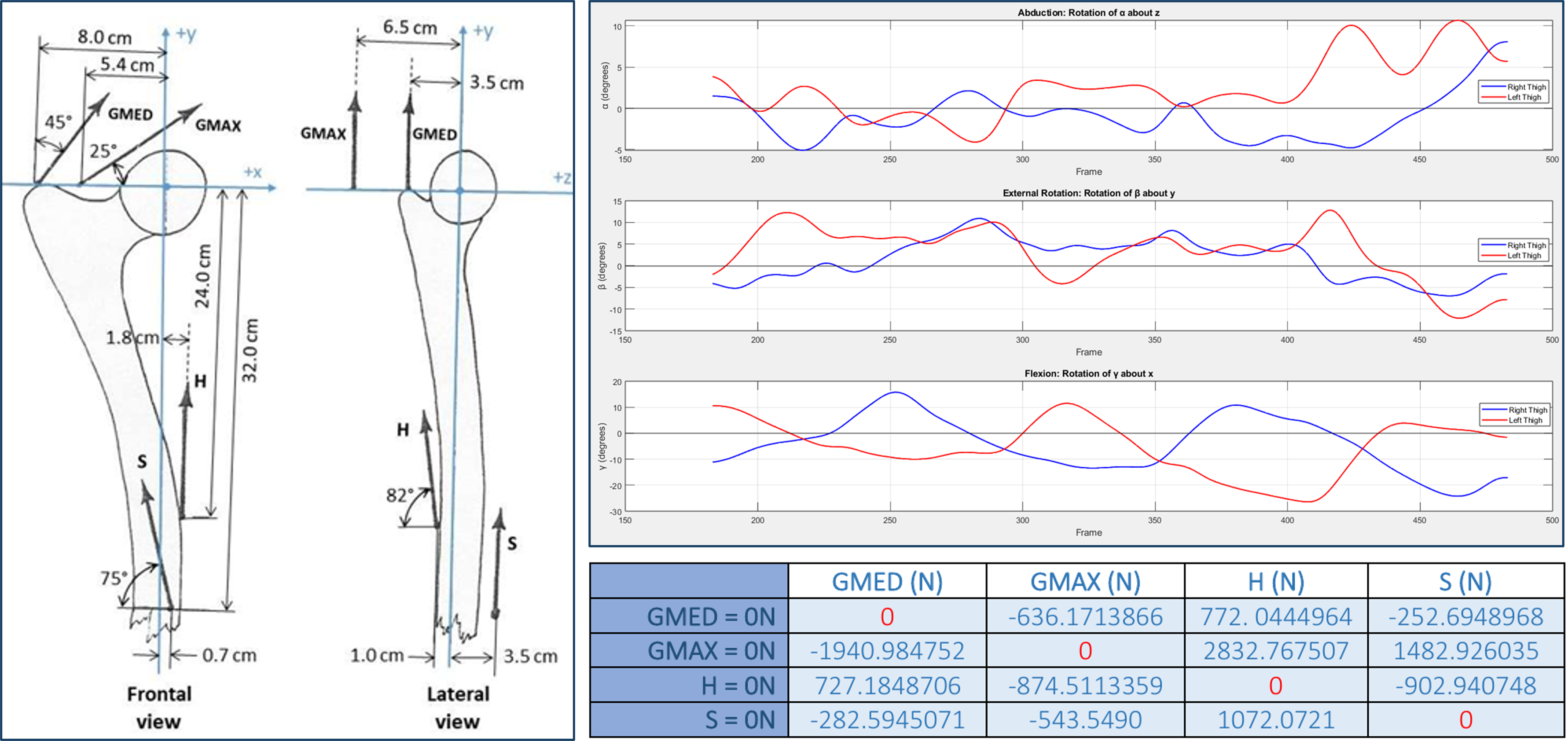 Human Movement Analysis: Gait and Muscle Force Dynamics Image